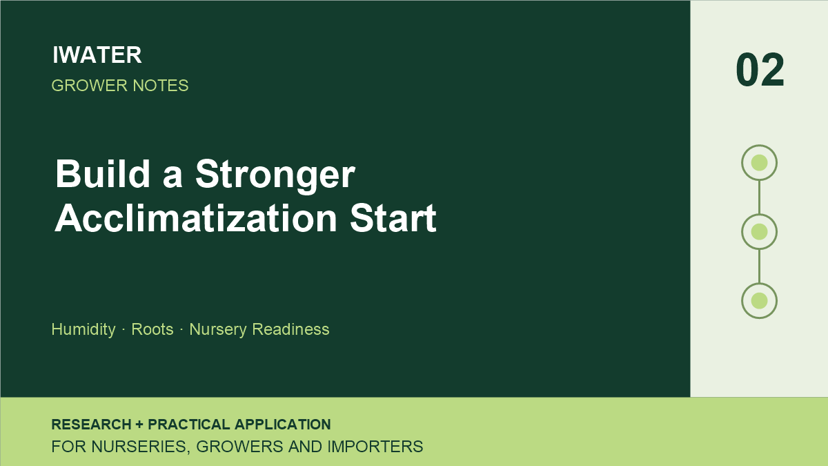 Build a Stronger Acclimatization Start — Humidity · Roots · Nursery Readiness