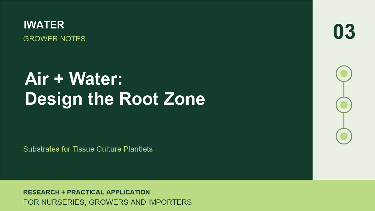 Air + Water: Design the Root Zone — Substrates for Tissue Culture Plantlets